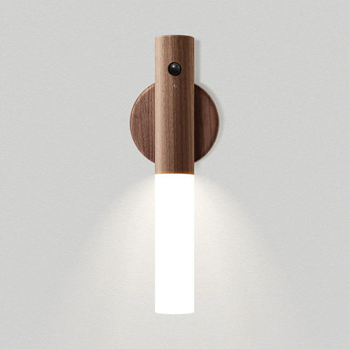 Motion Sensor Light