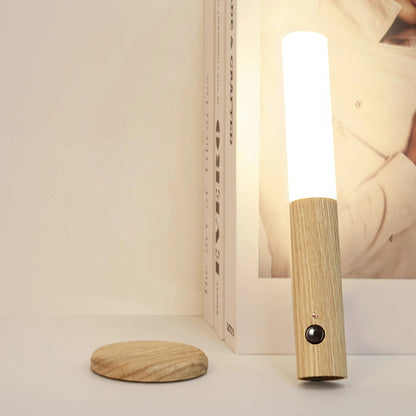 Motion Sensor Light